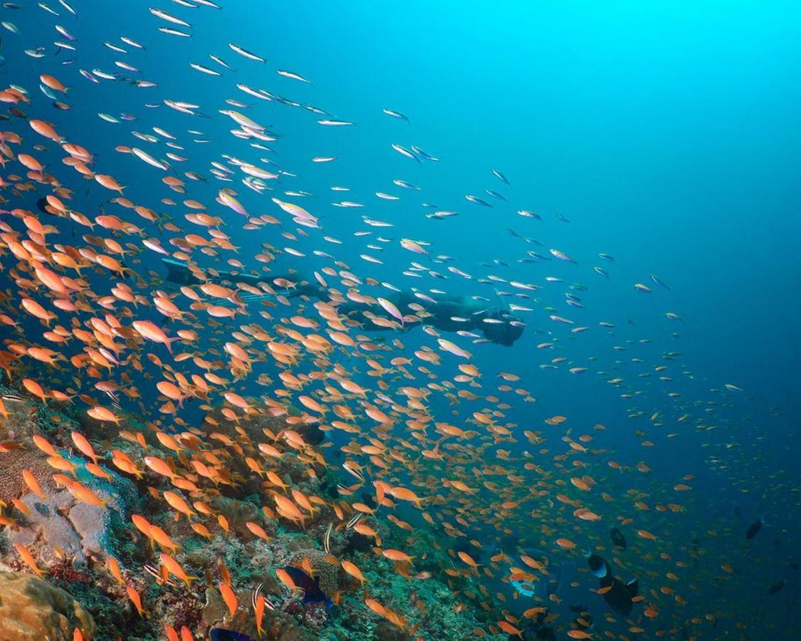 Aveyla Manta Village Дхаравандхоо Экстерьер фото